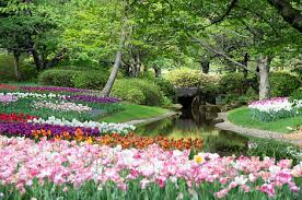 Our online garden center exists to provide you with a wide range of plants, trees and garden accessories at affordable. Global Flowers In In Copenhagen All The Flowers Of The Planet