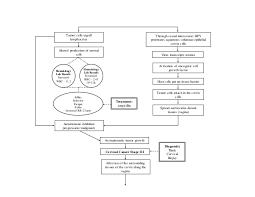 97294140 Case Study Of Cervical Cancer Stage Iii Final