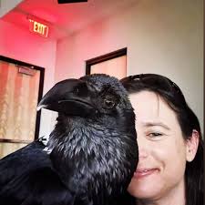 Community Library Sedona