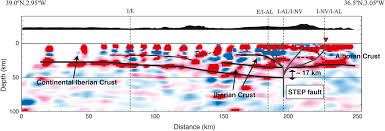 De meest voorkomende wortel is natuurlijk oranje, maar wortels zijn er bijvoorbeeld ook in het geel. Frontiers Geodynamic Modeling Of Edge Delamination Driven By Subduction Transform Edge Propagator Faults The Westernmost Mediterranean Margin Central Betic Orogen Case Study Earth Science