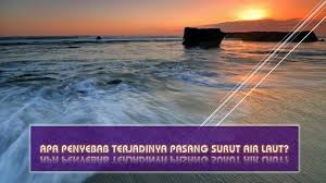 Secara umum, pasang surut dibagi menjadi dua. Apa Penyebab Terjadinya Pasang Surut Air Laut Belajar Mipa