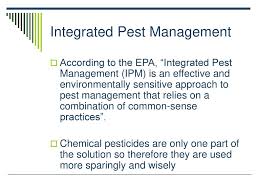 It is our contention in discussing the future of integrated pest management that this strategic approach to integrated control programs with employment of cultural measures, host resistance, and biological agents along. 9 01 Discuss Integrated Pest Management Strategies Ppt Download