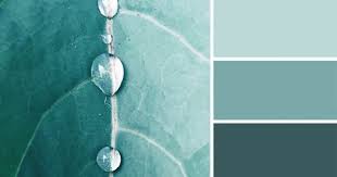 Sage green color swatch sample. Nature Inspired Color Palettes Aka Design Seeds For Designers Crafters And Home Decorators Bored Panda