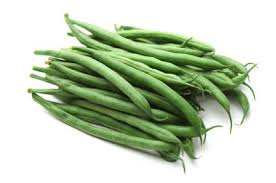 The kentucky dreamer is an improved kentucky wonder bush bean. Bean Kentucky Wonder 125 45 Days American Seed Co