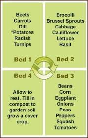 Gardenality Blog Vegetable Crop Rotation Chart 2 Lawn