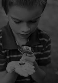 Expanding and Opportunities