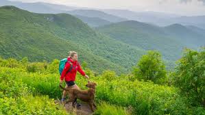 Image result for hiking western nc