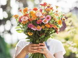 We use them to decorate our homes and gardens, and we use them to prepare for major events, l. How To Grow A Cut Flower Garden As Impressive As Floret Farm Architectural Digest