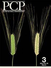We did not find results for: Plant Cell Physiology The Japanese Society Of Plant Physiologists