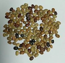 Image result for Macrotyloma uniflorum