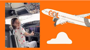 Brazilian singer MC Pipokinha takes her pants off inside GOL flight cockpit  in viral video