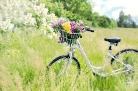 Durch Eine Versiegelung Mit Nanopolymeren Bleibt Das Fahrrad Langer Sauber Cenano Gmbh Co Kg Pressemitteilung Pressebox
