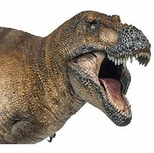 Dinosaurier by joachim oppermann, illustrated by manfred rohrbeck. Pnso 2020 Wilson The T Rex By Pnso 99 Dinosaur Museum Series