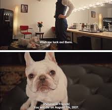 Pin By Kaylee Veneberg On The Immature Board John Mulaney Funny Pictures Tumblr Funny