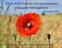 Inspirierende Zitate Schone Zitate Sinndeslebens Sinndeslebensfinden Lebenssinn Sinn Gluck Spruche Leben Glu Gluck Zitate Gluck Gedanken Spruche