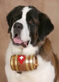 Beethoven To The Rescue Photo Courtesy Of Http Puppydogweb Com St Bernard Dogs Dogs Bernard Dog