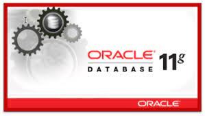 I have looking at oracle website still cannot get it. Install Oracle Database 11g On Windows