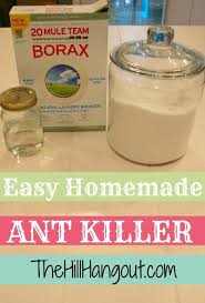 Diy ant killers that work. The Best Homemade Ant Killer The Hill Hangout