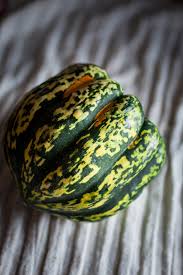 Image result for carnival acorn squash