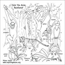 Belize rainforest hidden picture and coloring page. Animal Habitat Coloring Pages Coloring Pages Of Animals In Their Habitats Animal Habitat Color Animal Coloring Pages Desert Animals Coloring Rainforest Animals