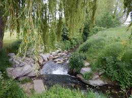 Rando Wardrecques: Bourecq 