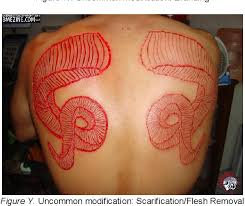 One of the oldest forms of body modification is finally growing in popularity. Pdf Traditional And New Enhancing Human Cybernetic And Nanotechnological Body Modification Technologies A Comparative Study Of Roman Catholic And Transhumanist Ethical Approaches Semantic Scholar