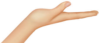 Palm Flat Of Hand Png Clip Art Clip Art Free Clip Art Hands Icon