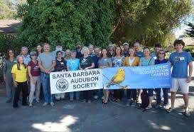 BIRDS NEED OUR HELP: A CALL TO ACTION