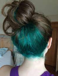 Image Uploaded By Taly Find Images And Videos On We Heart It The App To Get Lost In What You Love Hidden Hair Color Hair Color Underneath Under Hair Color