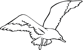 Some of the coloring page names are seagull coloring at, coloriage mouette en vol coloriages click on the coloring page to open in a new window and print. California Seagull Coloring Page From Seagulls Category Select From 20946 Drawings Machine Embroidery Patterns Embroidery Patterns