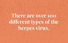 While both viruses can have the same effect, this is the one with the bigger stigma associated with it. 8 Facts You Never Knew About Herpes Women S Health