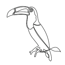 Use parentheses, brackets, or braces in numerical expressions, and evaluate expressions with these symbols. Toucan Coloring Book Vector Illustration Tasmeemme Com