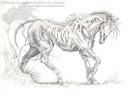 Zombie Horse Horse Drawings Horse Art Horse Drawing