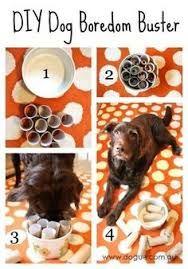 Diy dog owner projects that will make your life easier and your dog much happier. 39 Dog Puzzles Ideas Dog Puzzles Diy Dog Stuff Diy Dog Toys