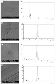 Effects Of Peracetic Acid On The Corrosion Resistance Of