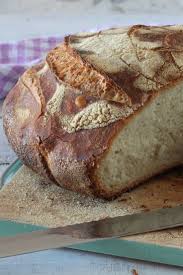 Pane Cotto In Pentola Al Forno Pane Cotto Ricette Pane