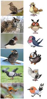 Pokemon Bird With Big Mouth 