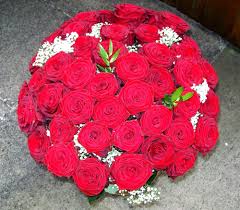 1000 rote rosen erfahrung die ausgezeichnetesten 1000 rote rosen im vergleich. 47 Rote Rosen Siehe Unten Foto Bild Pflanzen Pilze Flechten Bluten Kleinpflanzen Rosen Bilder Auf Fotocommunity