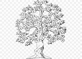 Vector line drawing of paris and london. Cherry Blossom Tree Drawing Clip Art Png 510x597px Blossom Area Art Black And White Black Cherry