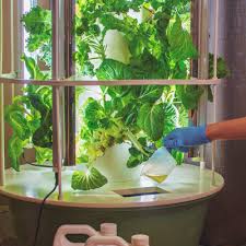 Discover Aeroponic Gardening Tower Garden