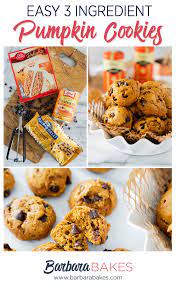 Pin On Barbara Bakes Recipes