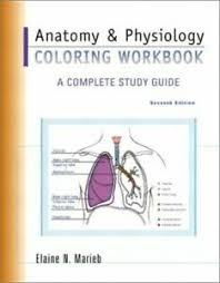 Anatomy coloring books are a great way for nurses, medical students, and artists to improve their if you've ever wondered how your heart, eyes, muscles, and blood vessels work, this book provides the anatomy and physiology coloring book is for anyone that wants a study guide with coloring. Anatomy Physiology Coloring Workbook A Comp By Marieb Elaine N Paperback 9780805359039 Ebay