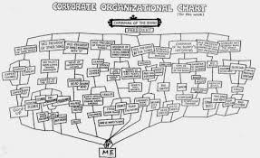 organogram and job responsibilities in pharmaceuticals