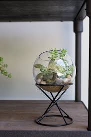 We did not find results for: Boolia Glass And Metal Terrarium In 2021 Large Glass Terrarium Hanging Glass Terrarium Open Terrariums