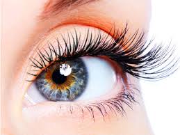 We did not find results for: What Happens If You Sleep With Contacts Boldsky Com
