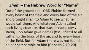 But it isn't the greek background of the word that matters most when we want to understand what john is… At The Home Of John And Marie Ppt Download