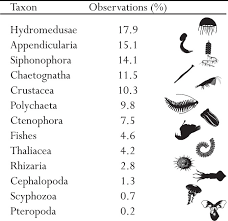 Oceans and ocean animals research writing unit! Quantification Of Bioluminescence From The Surface To The Deep Sea Demonstrates Its Predominance As An Ecological Trait Scientific Reports