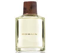 Amazon Com Mary Kay Domain Cologne Spray Men S Cologne Beauty