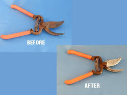 I use an old nail brush for flat surfaces and toothbrush for things like pliers and garden shears and the brushes still have wax in how about a more expensive way but nicer and they won't rust for a long while unless you really beat them up. How To Remove Rust From Your Pruning Shears Laptrinhx News