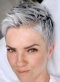 Pin By Maria Ibarguen On Hair In 2021 Short Silver Hair Short Hair Styles For Round Faces Super Short Hair